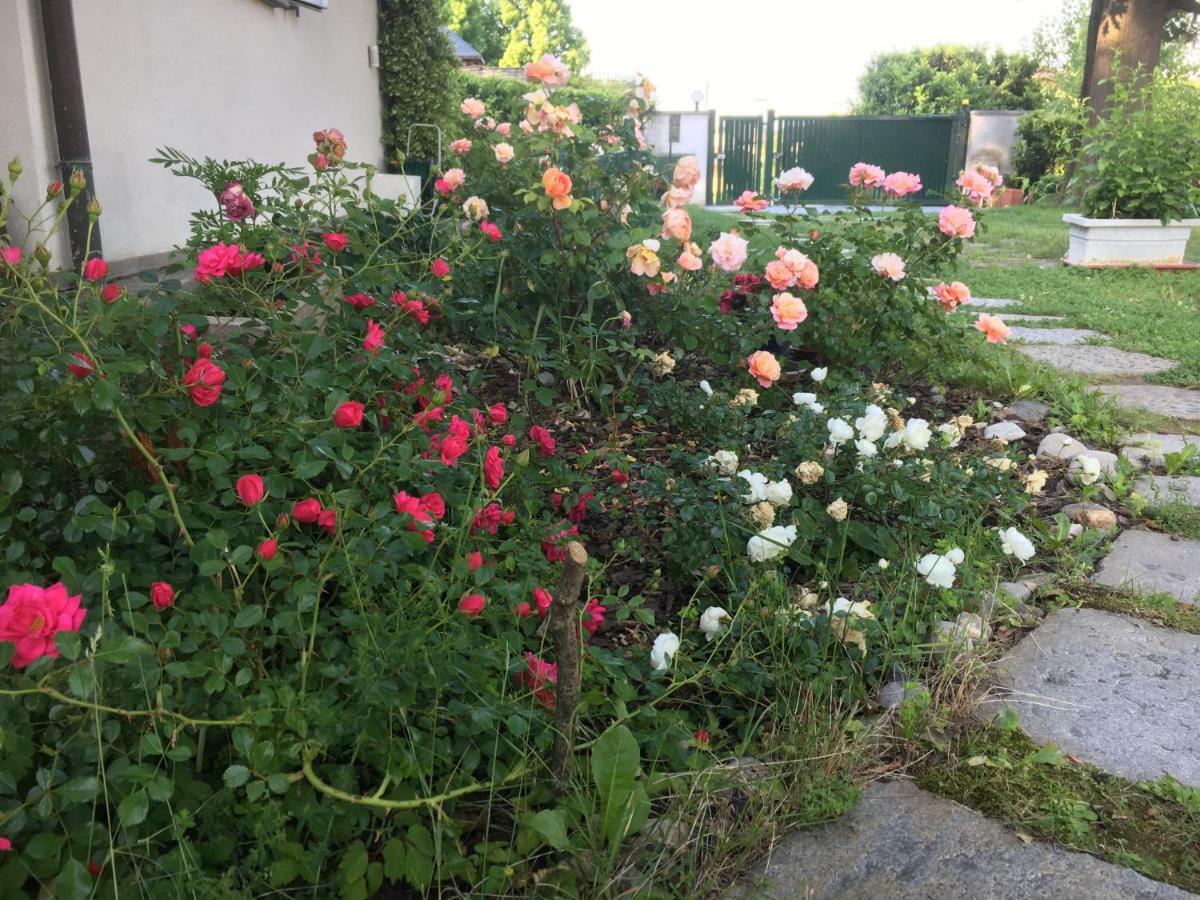 Bed and Breakfast Elleboro Carugo Exterior foto